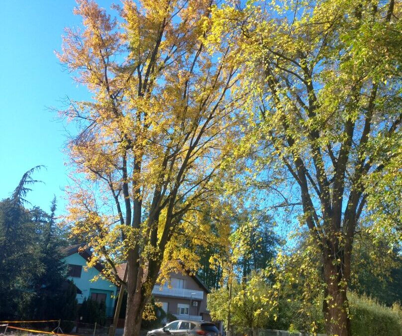 Obavijest – upozorenje na opasnost