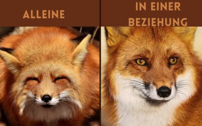 Digitalni zadatci, Njemački jezik i B1 program