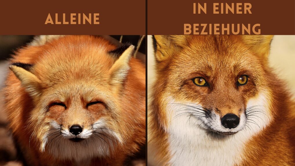 Screenshot 2026-02-16 151222